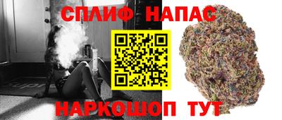 ГАЛЛЮЦИНОГЕННЫЕ ГРИБЫ Будённовск