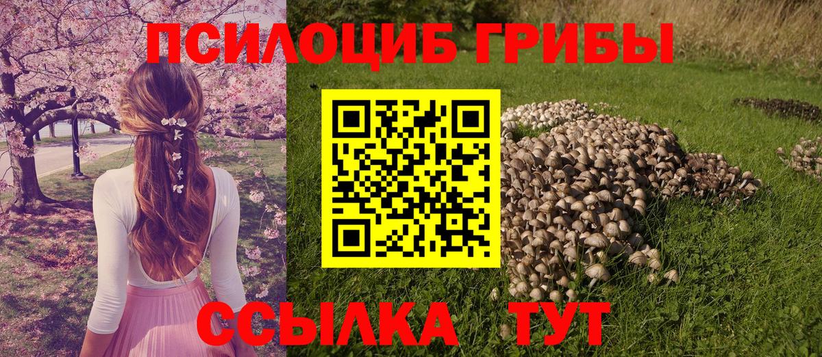 хочу наркоту  Галлюциногенные грибы Psilocybe  Вход с VPN  Ставрополь  Псилоцибиновые грибы GOLDEN TEACHER 